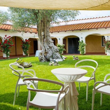 Tenuta Amalthea Villa Sessa Aurunca Esterno foto